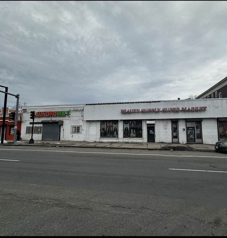 974-972 Blue Hill Avenue - Photo 1