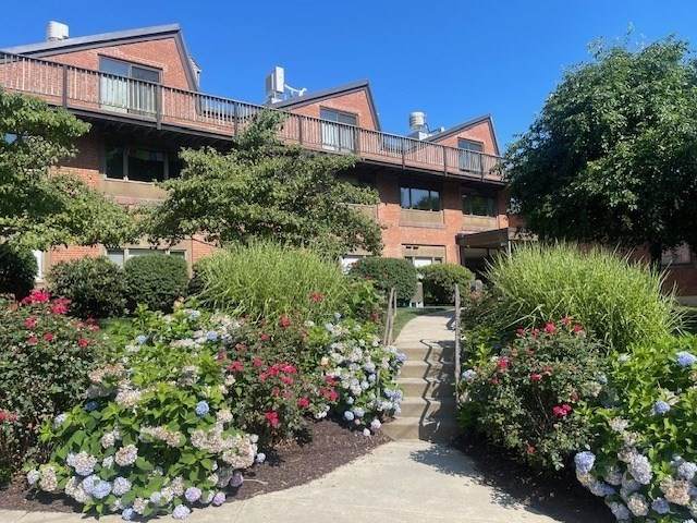 267 Locust Street - Photo 1