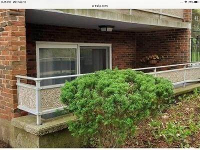 43 Jacqueline Rd - Photo 1