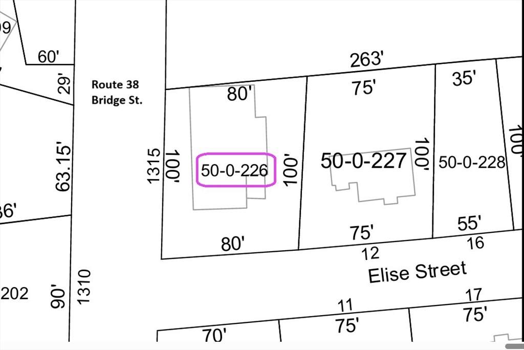 1315 Bridge Street - Photo 1