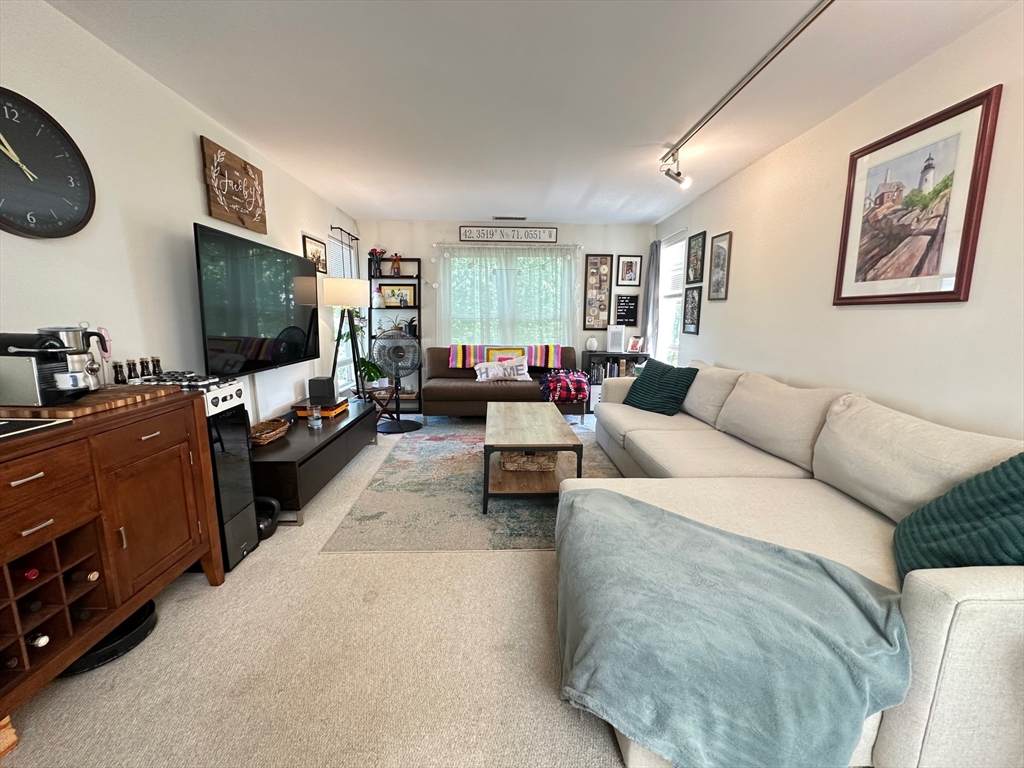217 Thorndike St - Photo 1