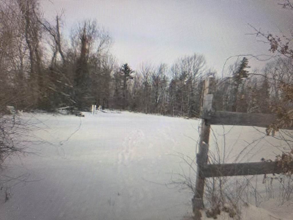 0 Frost Rd - Photo 1