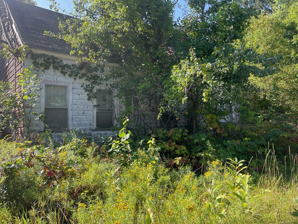 16 Liberty St - Photo 1