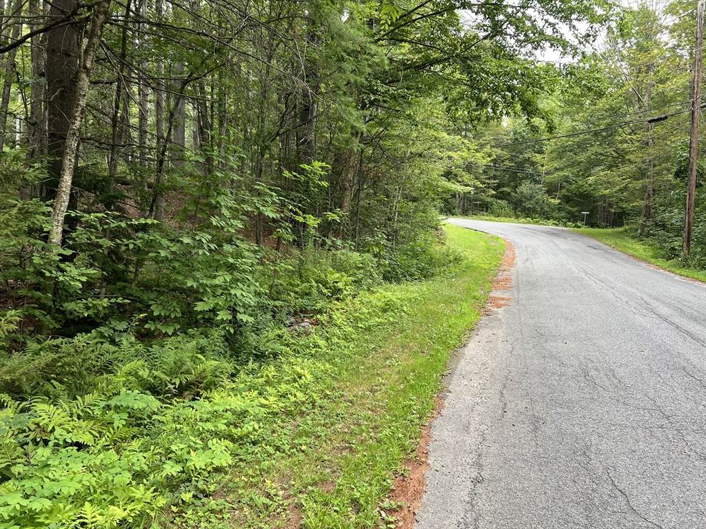 Lot 134 Shaw Rd - Photo 1