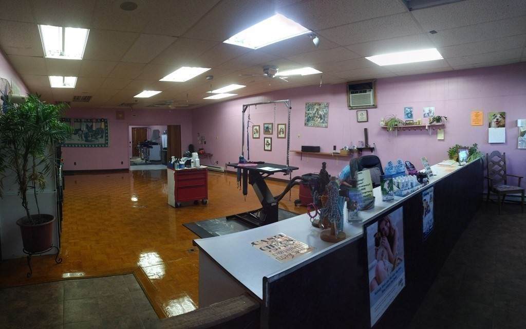 313 Pleasant St - Photo 1