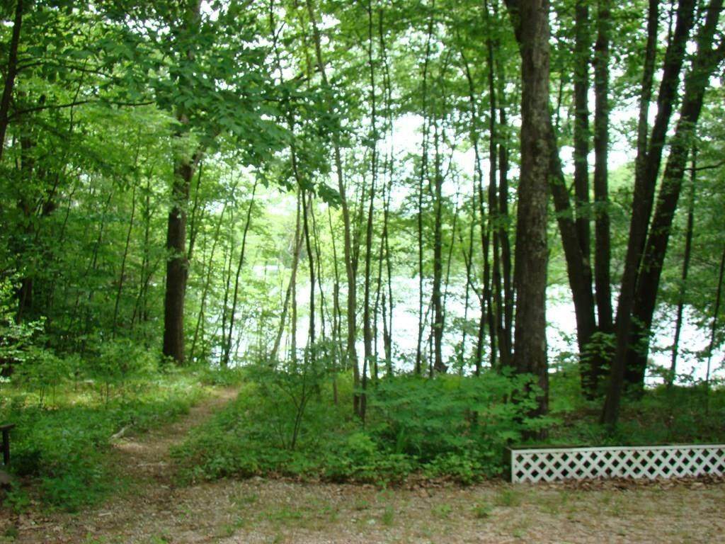 Lot 35 Mystery Ln - Photo 1