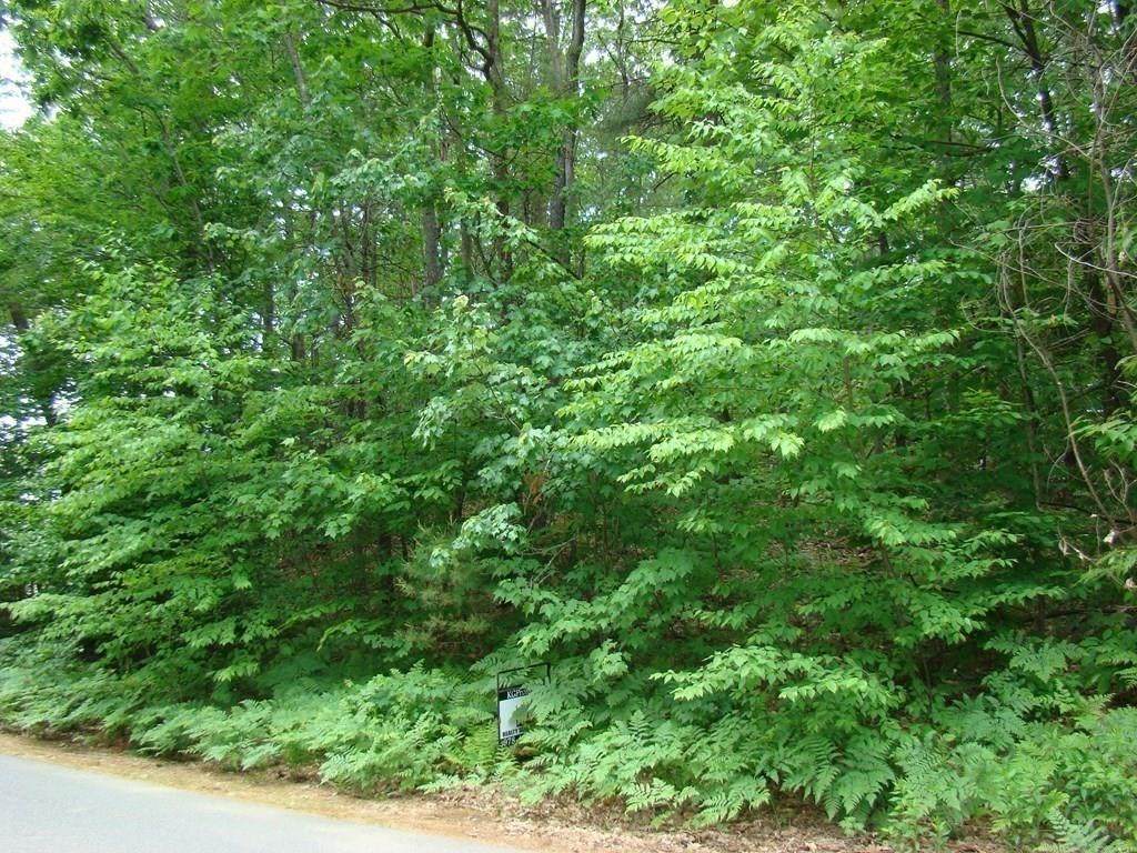 Lot 35 Mystery Ln - Photo 1