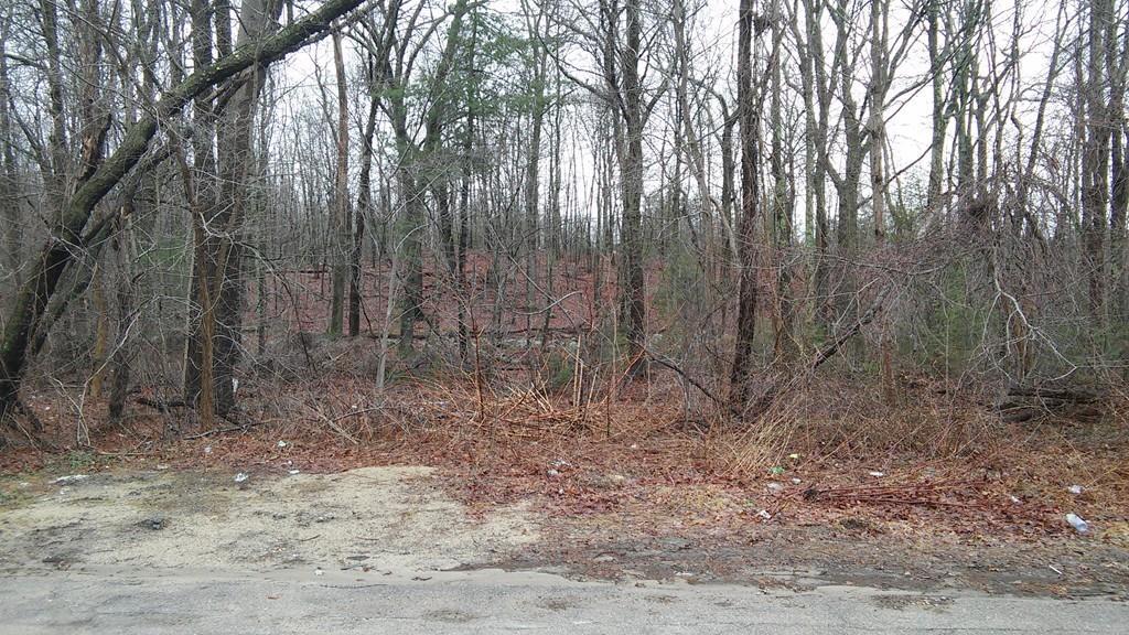 0 Howard Ave - Photo 1