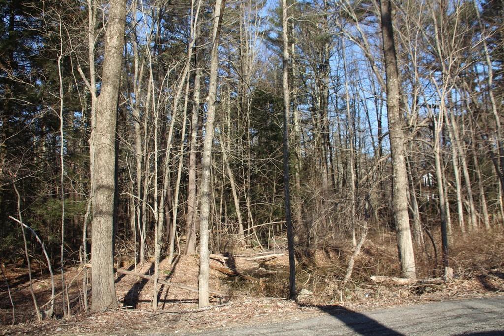 Lot 2B Northwest Rd - Photo 1