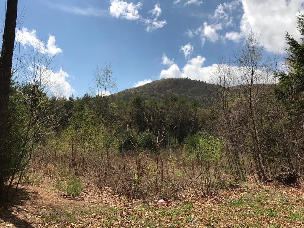332 Long Plain Road - Photo 1