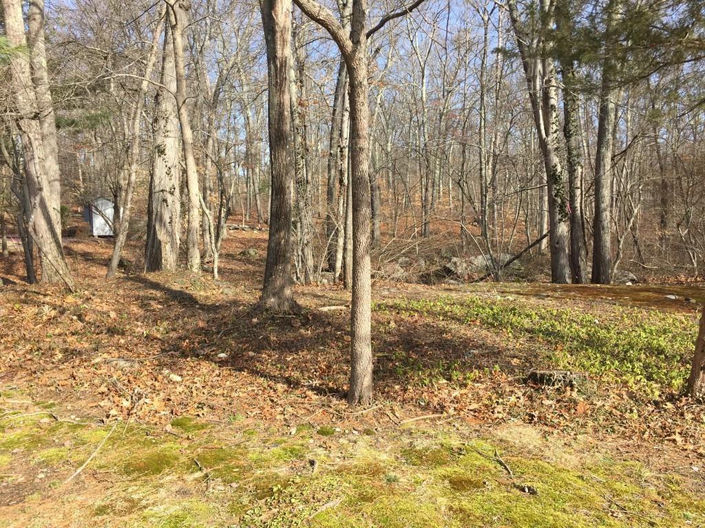 0 Nathaniel Paine Road - Photo 1