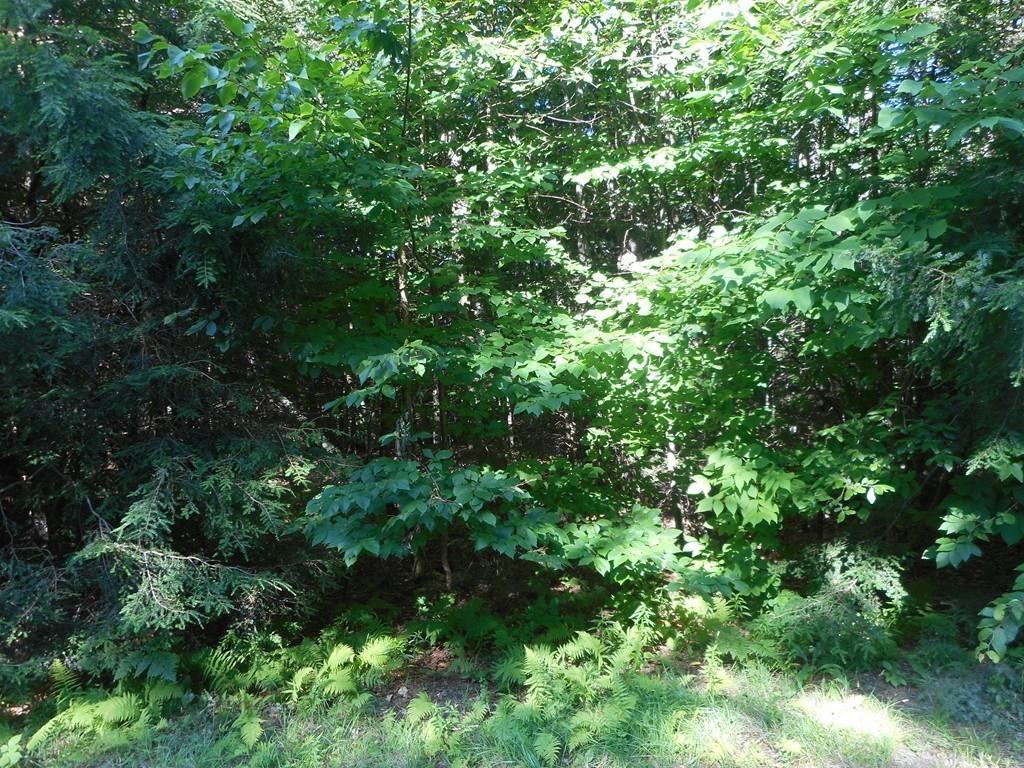 Lot 40.6 Stoney Brook Rd - Photo 1