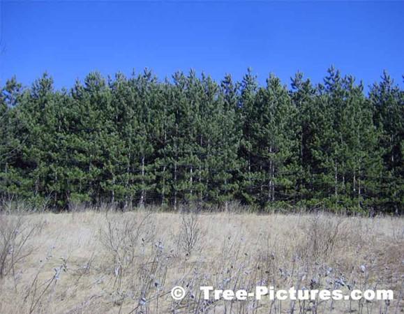 0 West Main St (Rt 140) - Photo 1