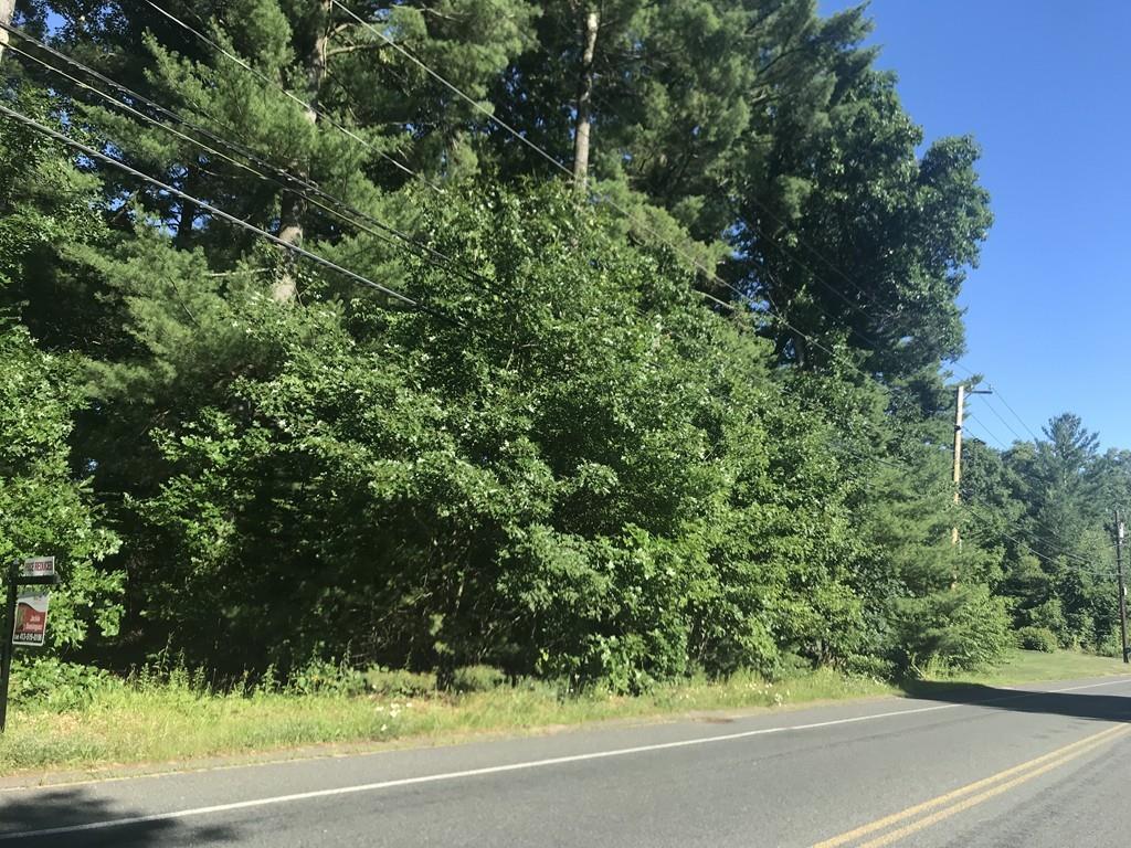 Lot 0 County Road - Photo 1