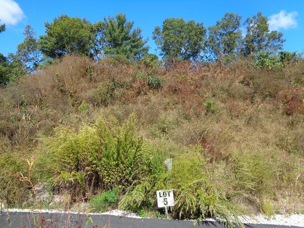 52 Ashden Court (Lot5) - Photo 1