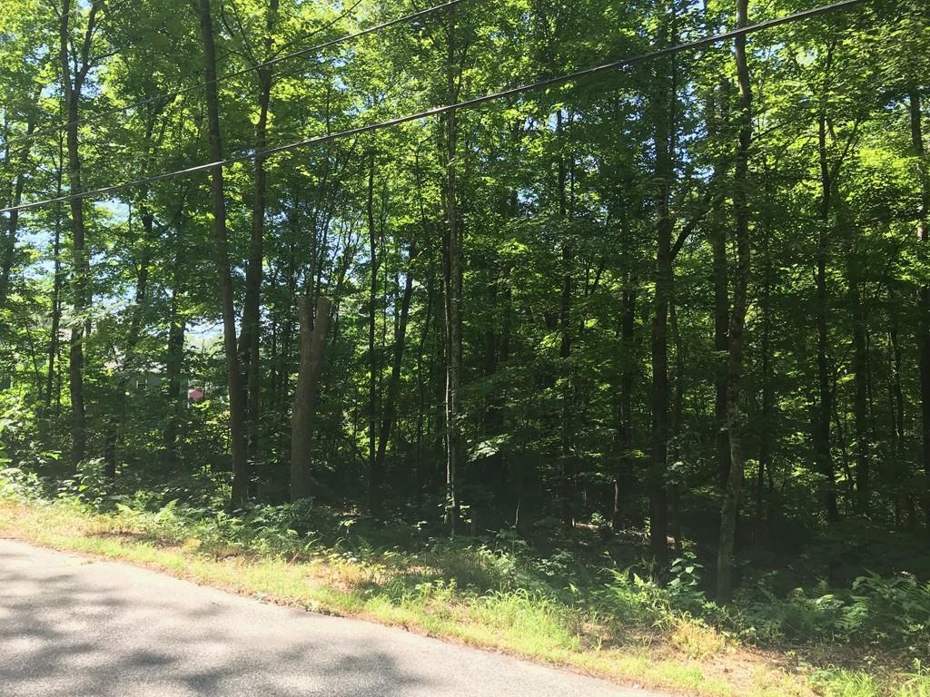 2140 Baptist Hill Rd - Photo 1