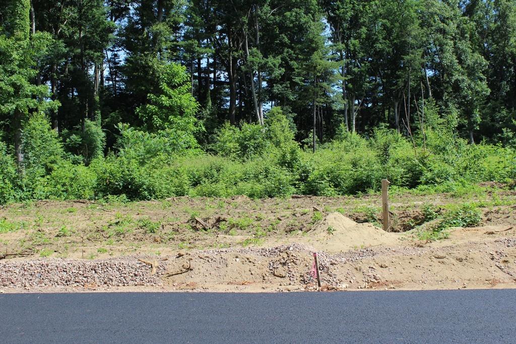 lot 9 Breighly Way - Photo 1