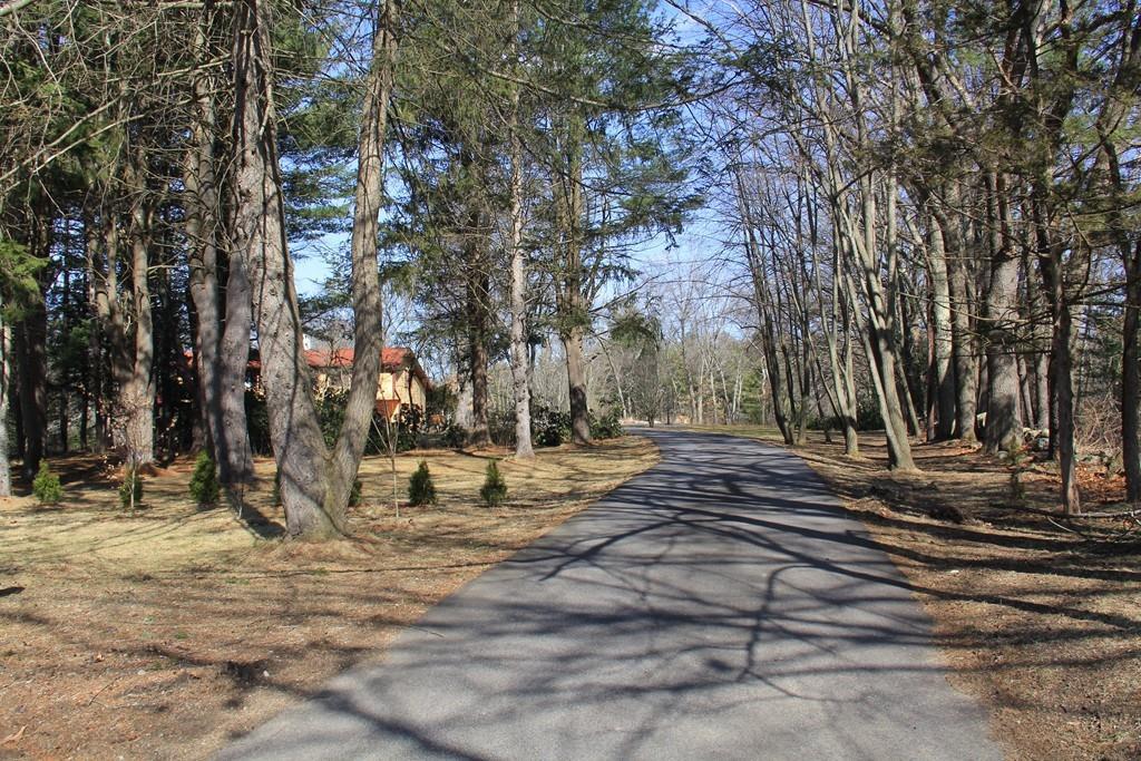11 Woodcock Ln - Photo 1