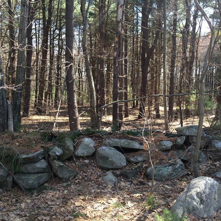 LOT Cypress St - Photo 1