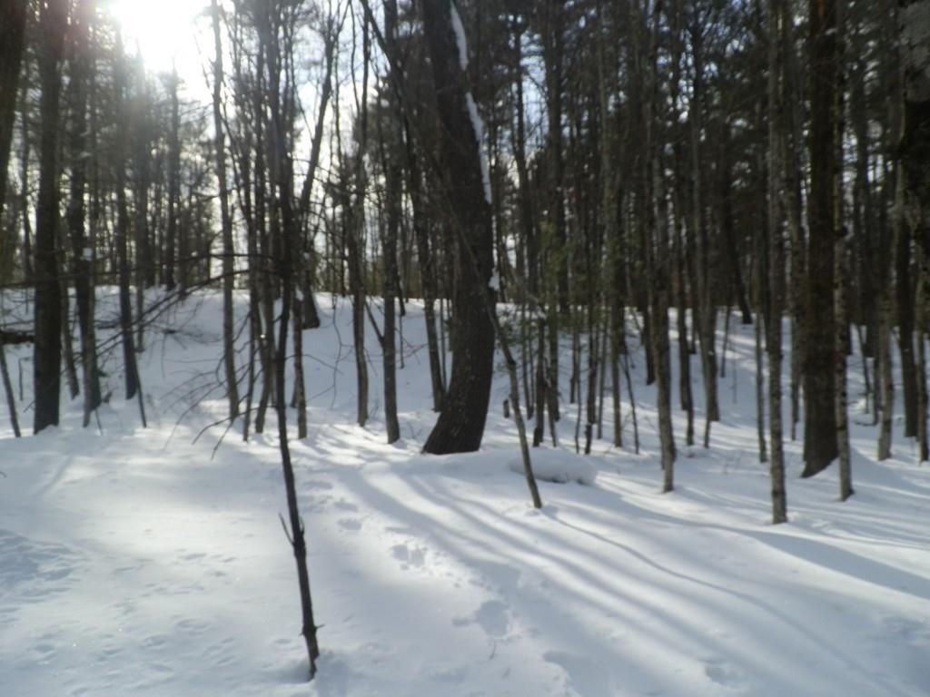 lot 1 West Street - Photo 1