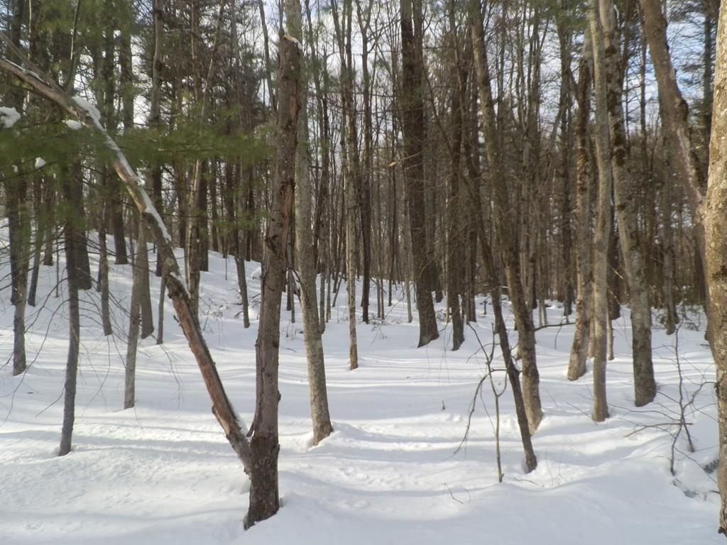 lot 2 West Street - Photo 1