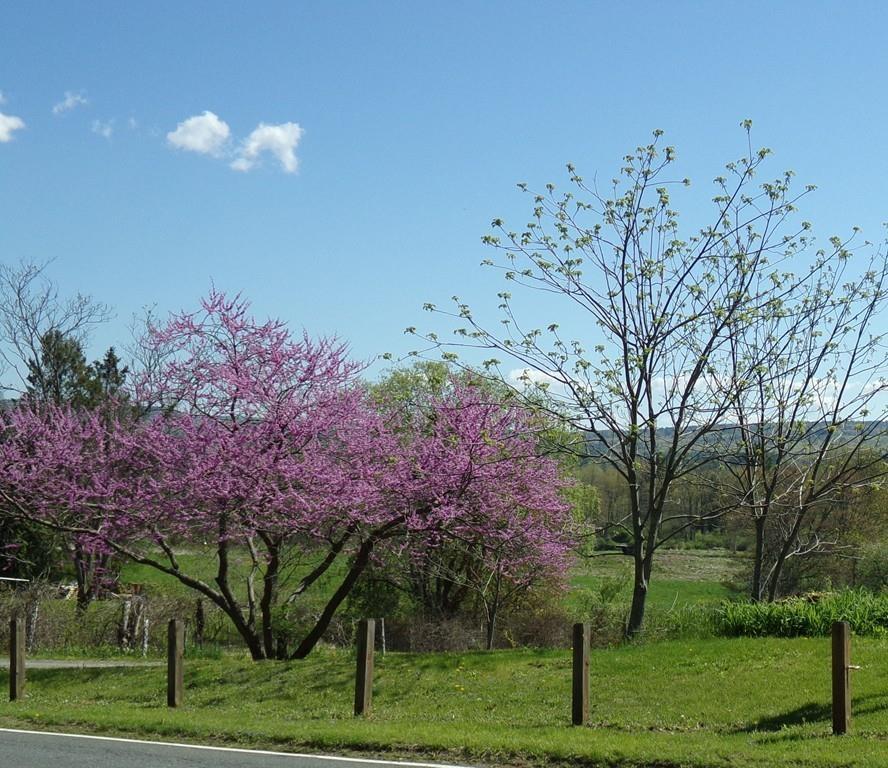 Lot 1A Southeast - Photo 1