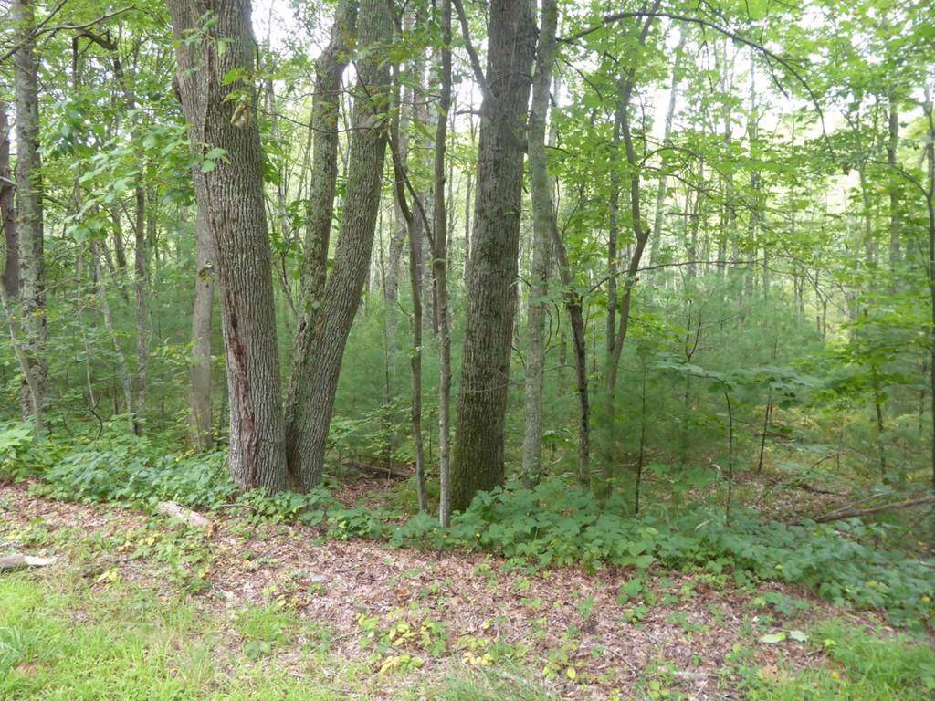 0 Warren Road - Photo 1