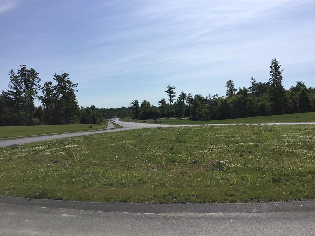 16A Michae4l Drive - Photo 1