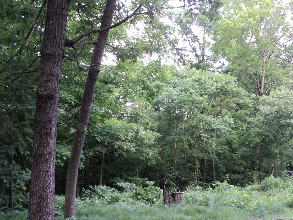 0 Hudson Ave - Photo 1