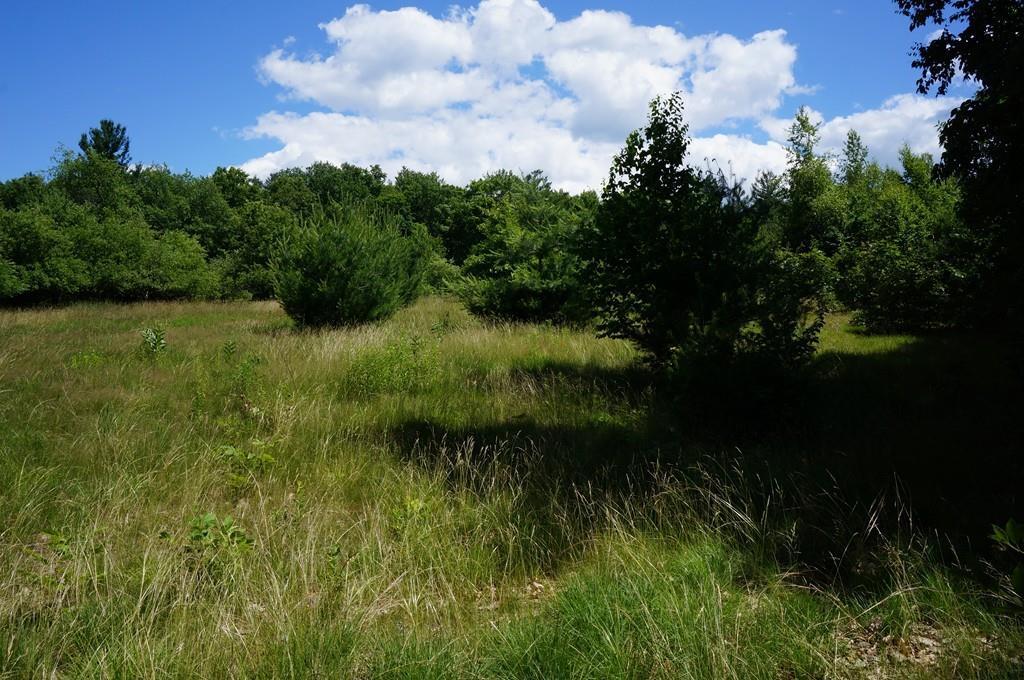 Lot 2 Pinnacle Rd - Photo 1
