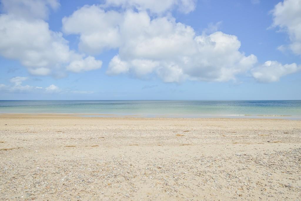 87 Salt Marsh - Photo 1