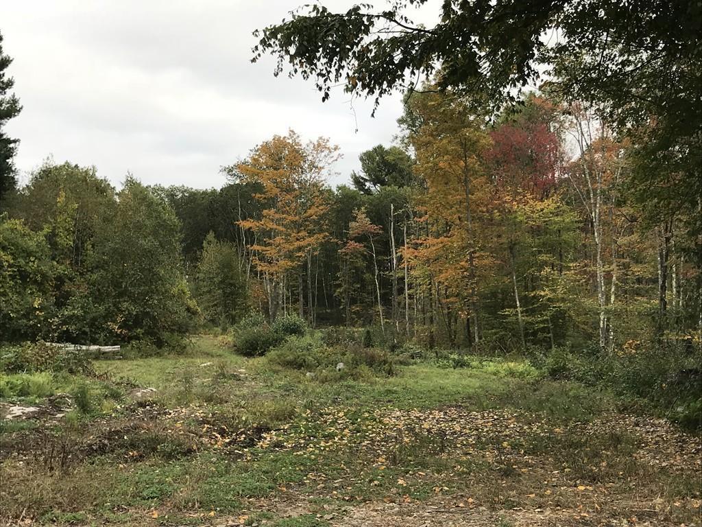 Lot 22-7 Jackson Road - Photo 1