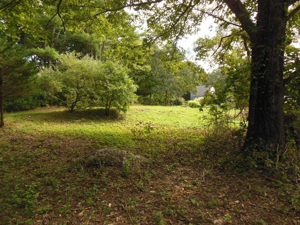 125 Cedar Street - Photo 1