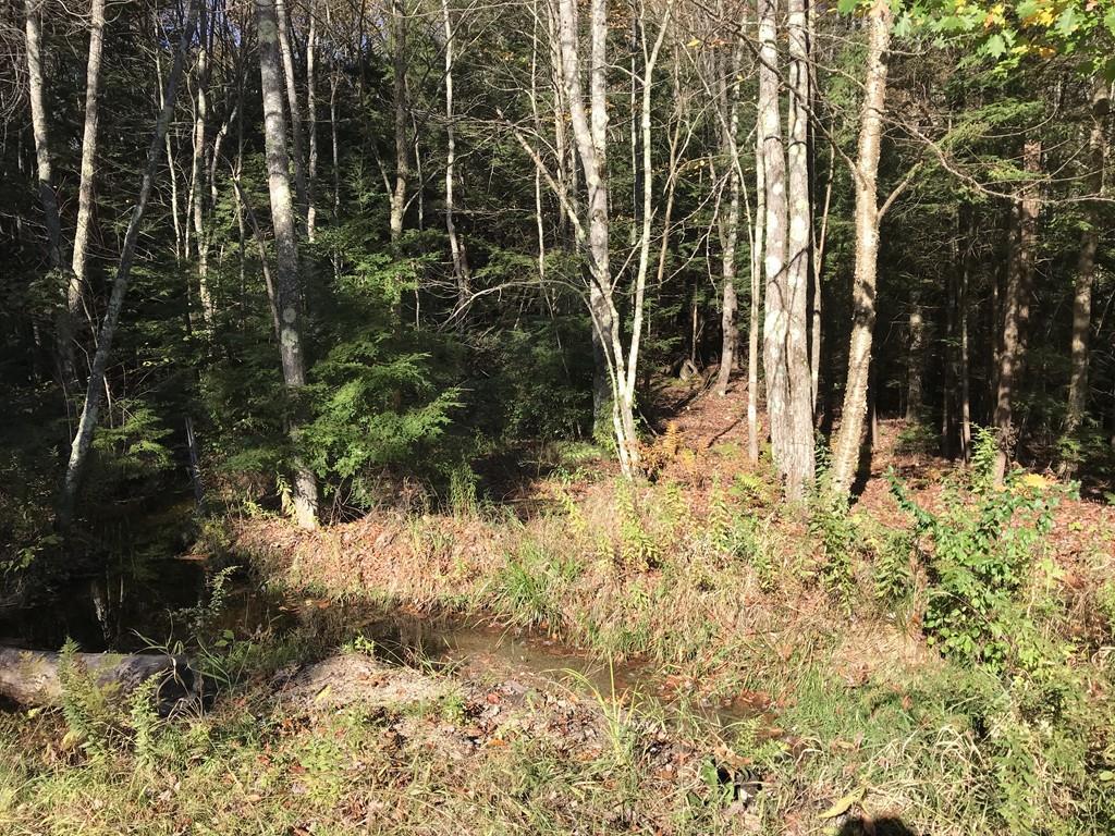 0 Carruth Rd - Photo 1