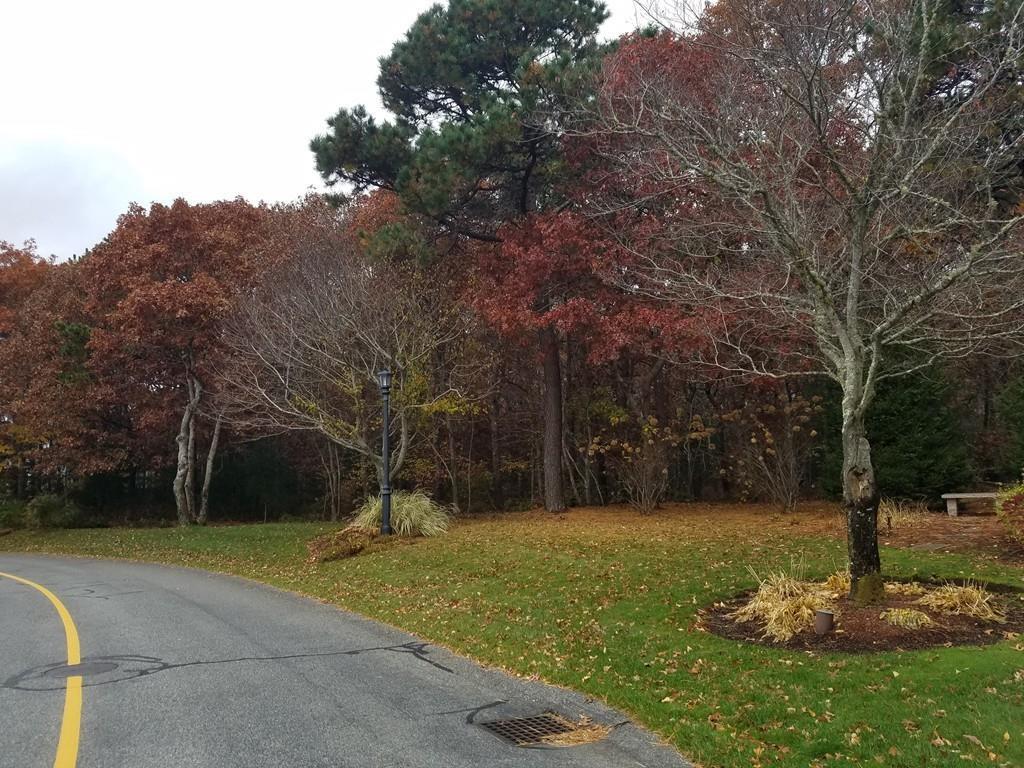 6 Eagle Dr - Photo 1