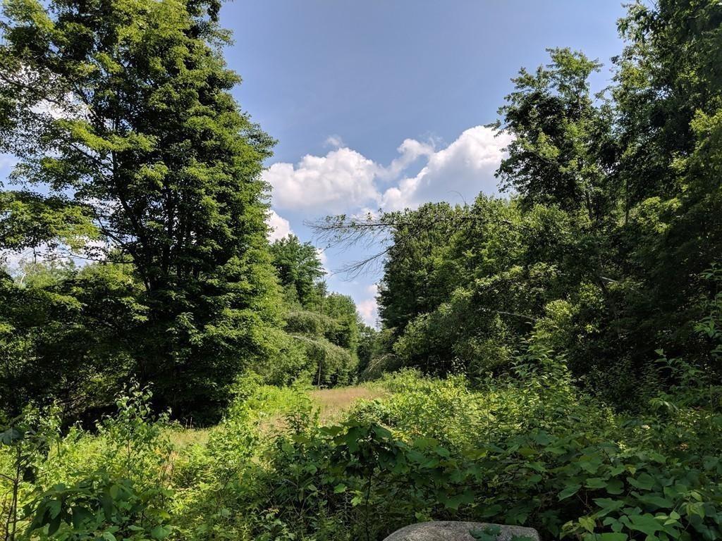 70 Chocolog Rd - Photo 1