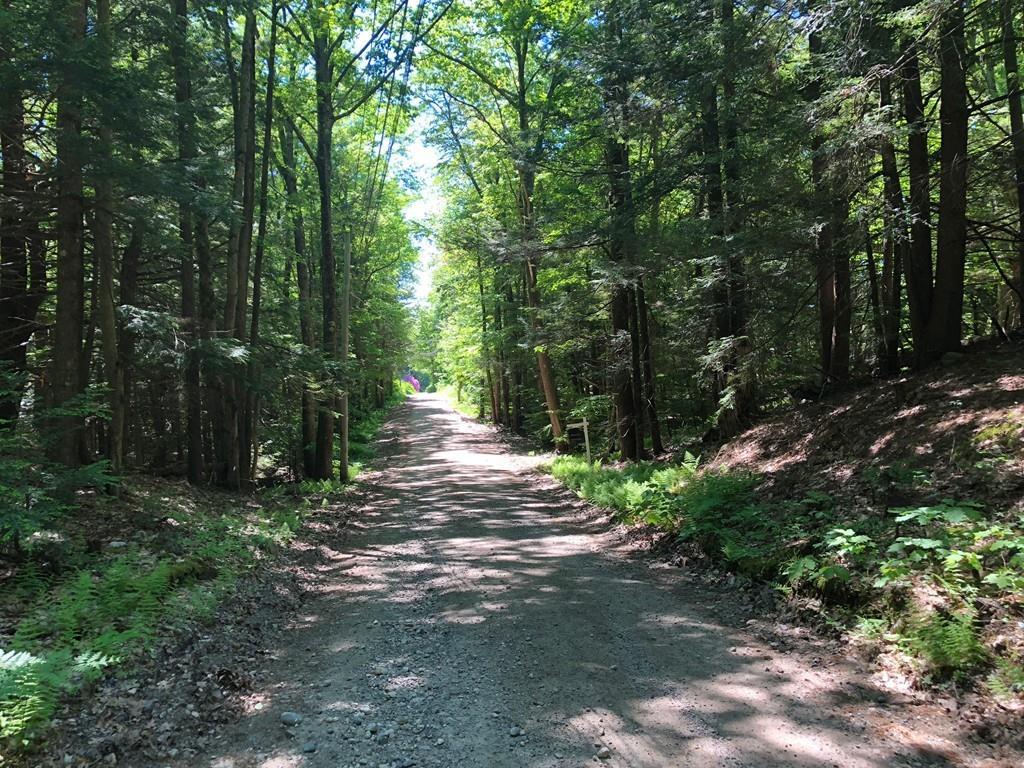 0 Old County Rd - Photo 1