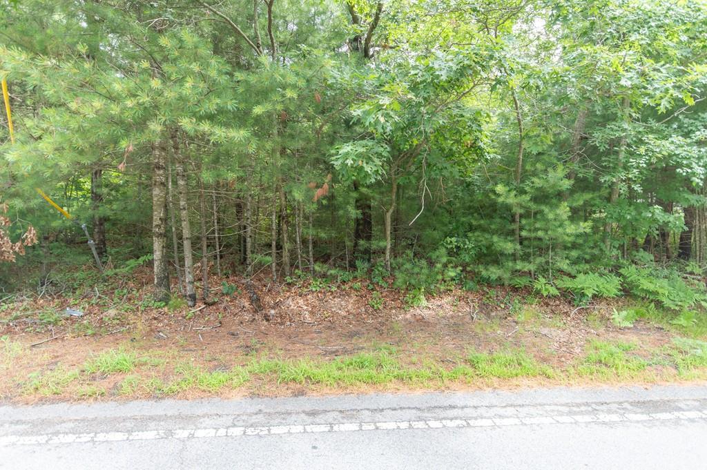 906 Long Pond Rd - Photo 1