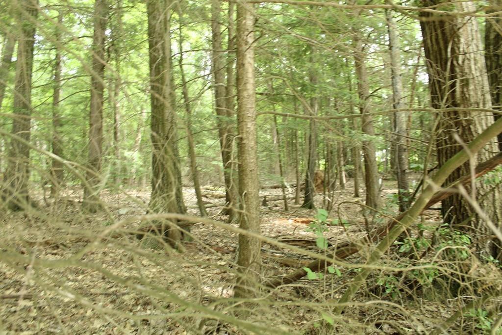 121 & 123 Brickyard Rd - Photo 1