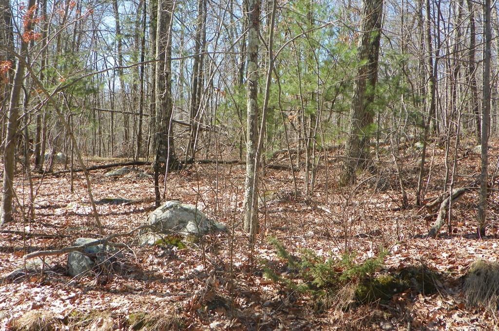 57 Kempton Rd - Photo 1