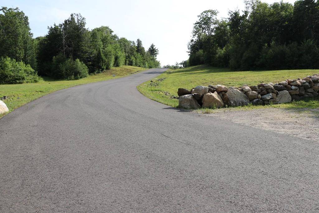 Lot 9 Blueberry Lane - Photo 1