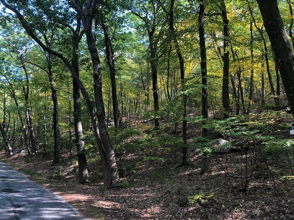 0 Under Pin Hill Rd - Photo 1