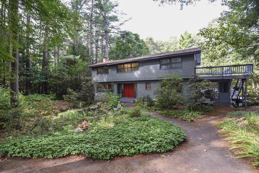 81 January Hills Road - Photo 1