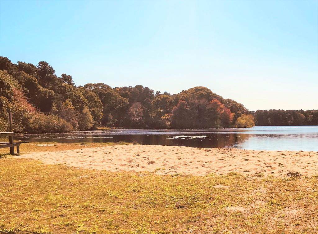 0 Blueberry Pond Drive - Photo 1