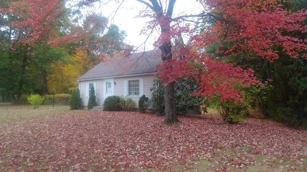 486 Maple Road - Photo 1
