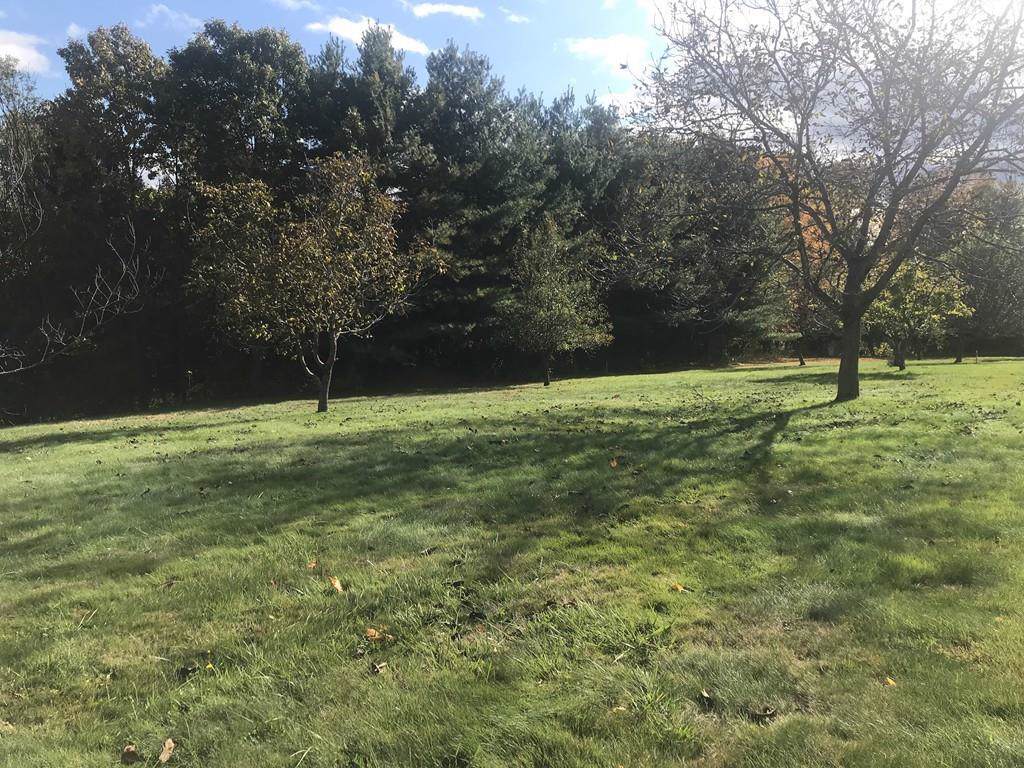 Lot1 Desimone Drive - Photo 1