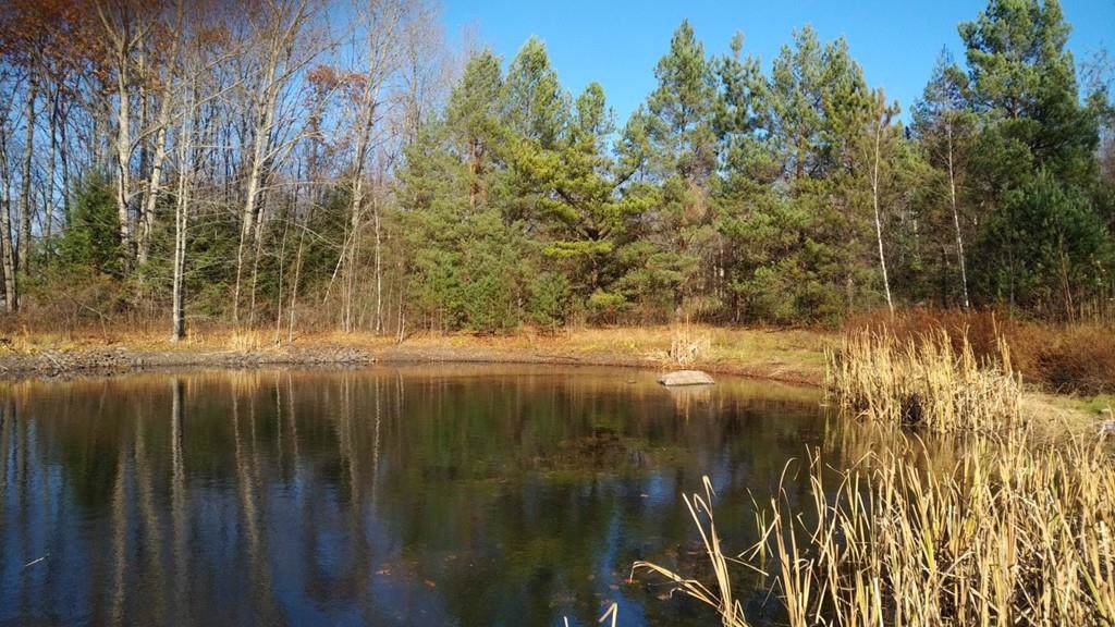 lot 25 Gray Road - Photo 1