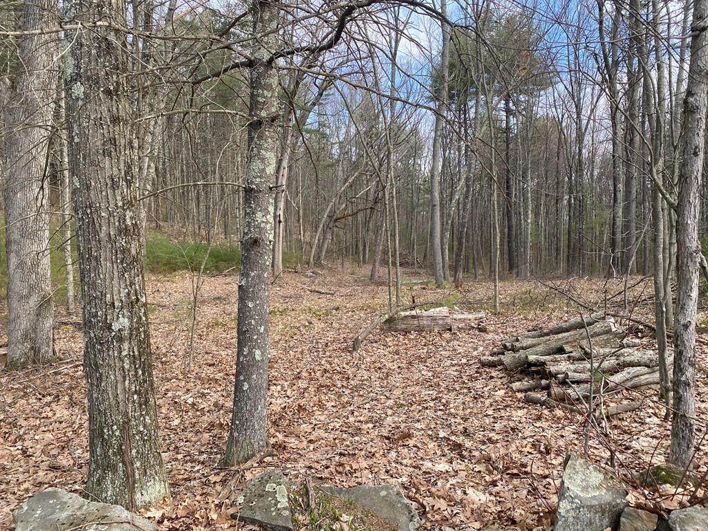 0 Doane Rd - Photo 1