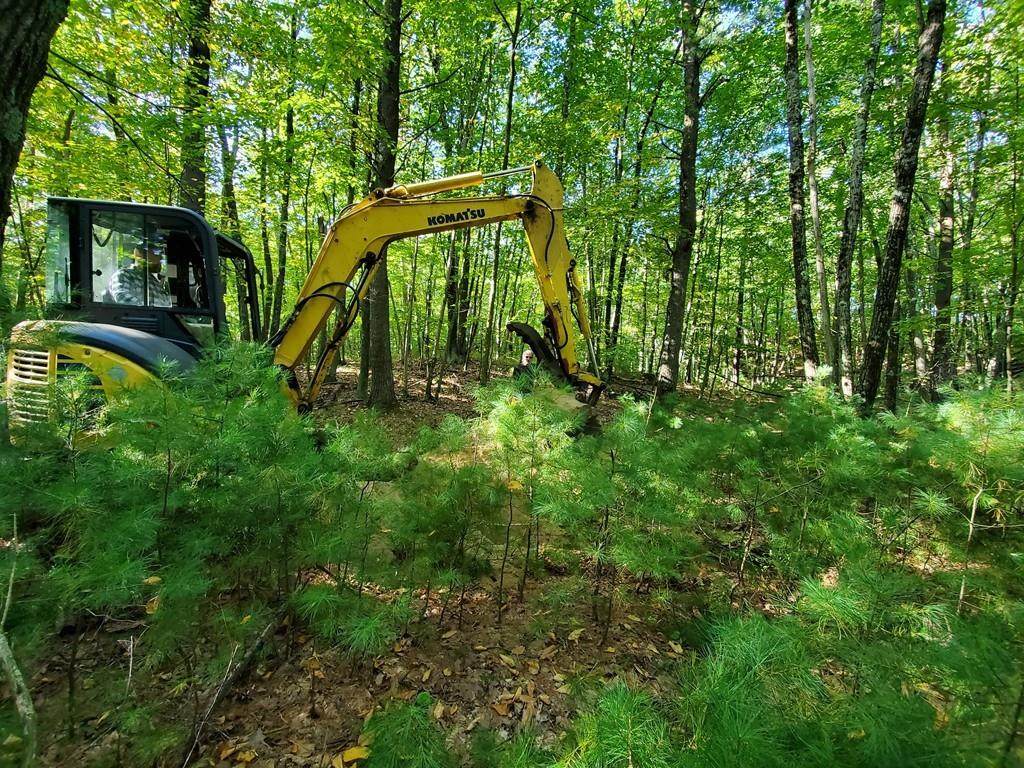 189 Central Tpke - Photo 1