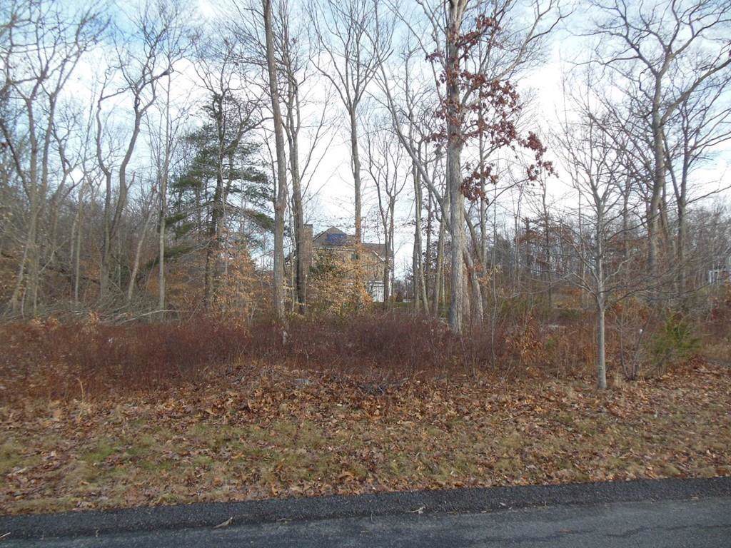 2 Wedge Way - Photo 1
